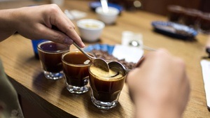 Coffee Tasting & Sensorik Workshop - Sense Colombia