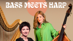 Bass meets Harp