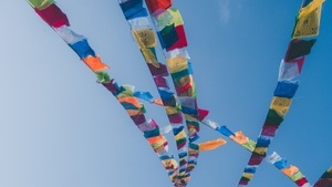 Sommerfestival der Traum GmbH