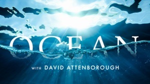Ocean mit David Attenborough