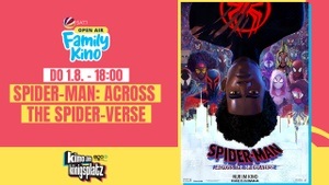 SPIDER-MAN: ACROSS THE SPIDER-VERSE – SAT.1 Family Kino