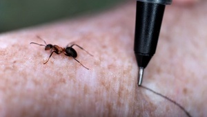 Simon Faithfull. Earth-ling