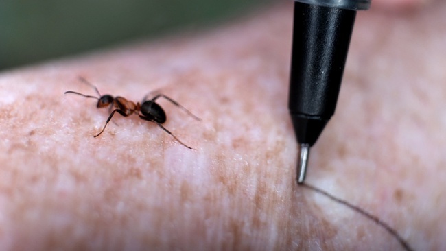 Simon Faithfull. Earth-ling