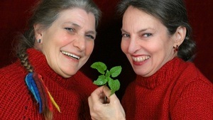 Es grünt so grün - Wildkräuter-Rendezvous, Menü und grüne Gedichte, mit Christiane & Christiane