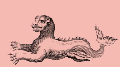 Wissenschaft und Kunst im Dialog: Erdanziehung