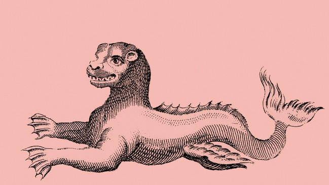 Wissenschaft und Kunst im Dialog: Erdanziehung