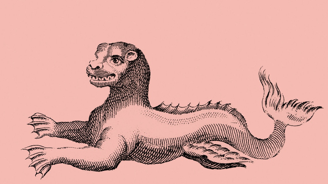 Titelbild der Veranstaltung Wissenschaft und Kunst im Dialog: Erdanziehung