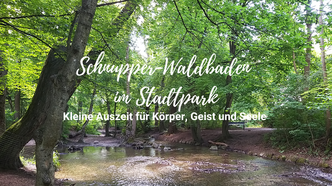 Schnupper-Waldbaden im Stadtpark