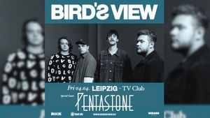 Birds View Live