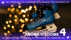 4. Türchen: anona ICEDOME