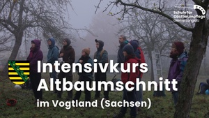 Obbstbaumschnittkurs (Altbaum) im Vogtland (Sachsen)