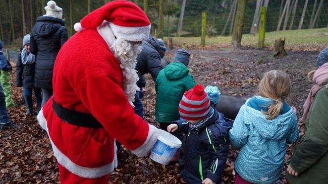 Weihnachtsmann Futtertour durch den Wildpark Schwarze Berge