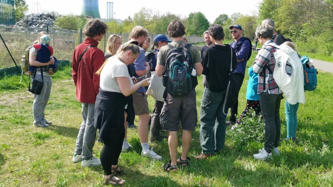 Exkursion: Wildbienenspaziergang im Botanischen Garten