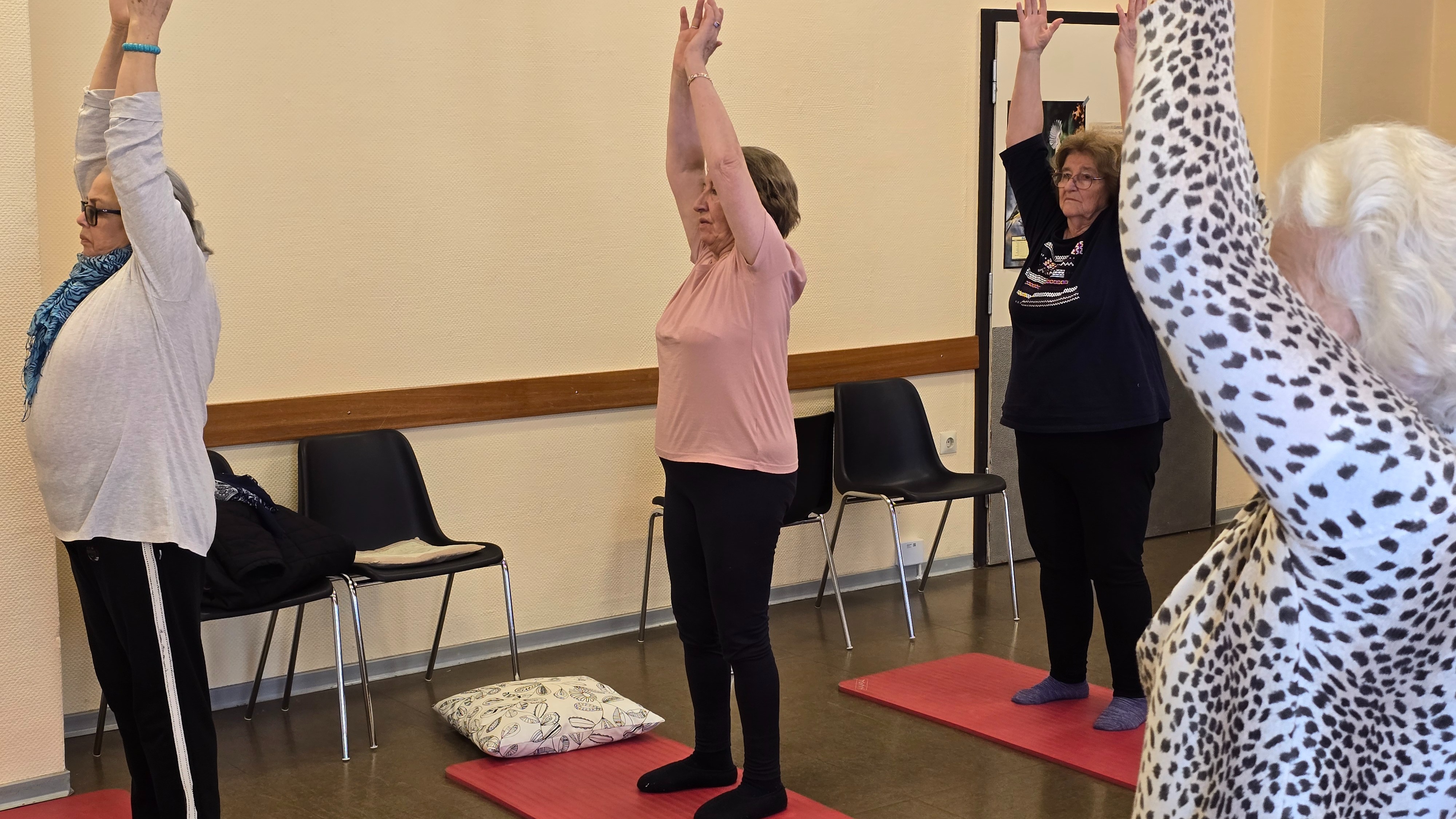YIN & VINYASA YOGA (FORTGESCHRITTENE)