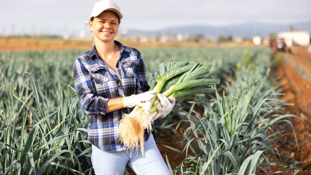 Essener Bauernhöfe und ihre Hofläden – Themenabend zum Internationalen Jahr der Frauen in der Landwirtschaft