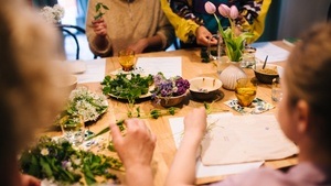 Wilde Hausapotheke - Kräuterwanderung & Workshop