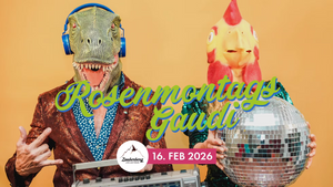 Rosenmontags-Gaudi Passau