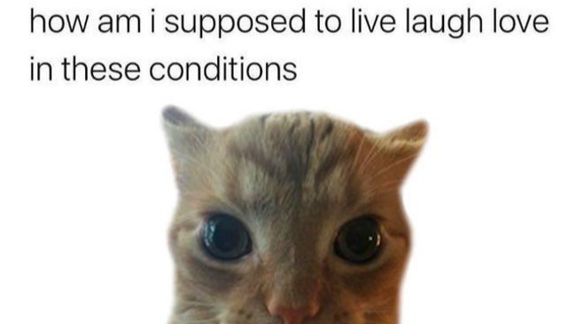 Deep Talk: Depressionen