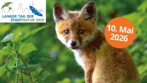 Langer Tag der StadtNatur München