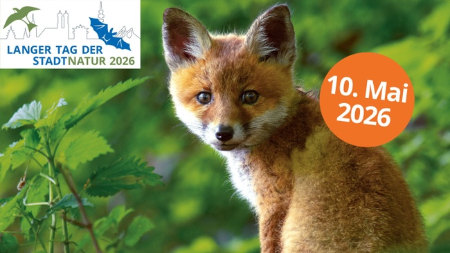 Langer Tag der StadtNatur München