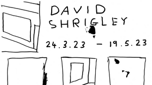 David Shrigley bei sipgate shows
