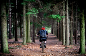 Fahrradtour LIFE Stadt-Wald-Bäche
