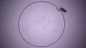 International Competition 2: Looking back