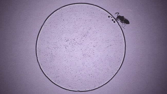 International Competition 2: Looking back