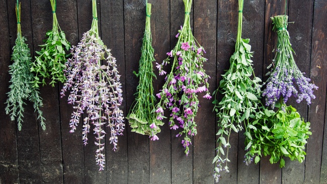 Kräutergärtnern – Gewürze für die Küche