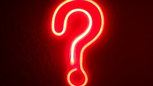 Dschungel-Quiz