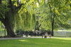 Brühler Garten
