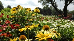 Sommerpracht – GartenPraxis im Westfalenpark