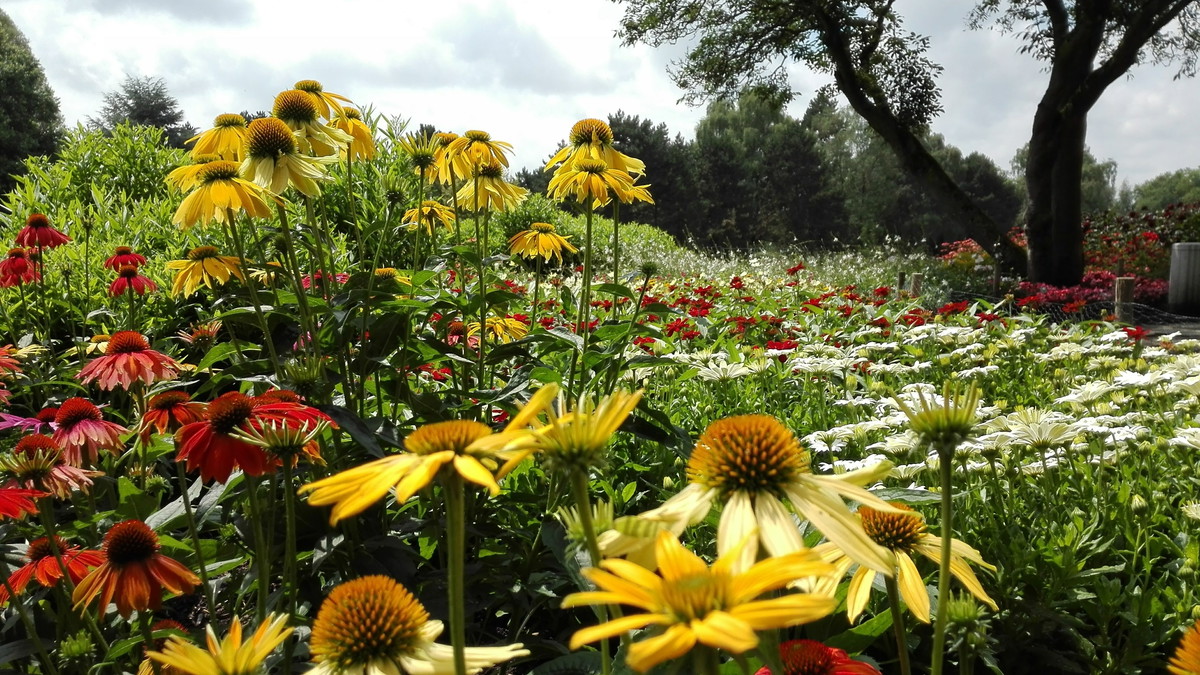 Sommerpracht – GartenPraxis im Westfalenpark