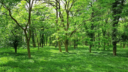 Architektur Sommer: Langer Tag der Stadt Natur Hamburg