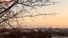 Luitpoldpark