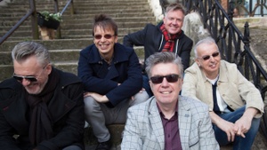 THE UNDERTONES