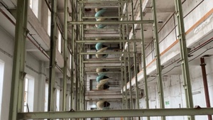 Die Dualen / Grand Jury