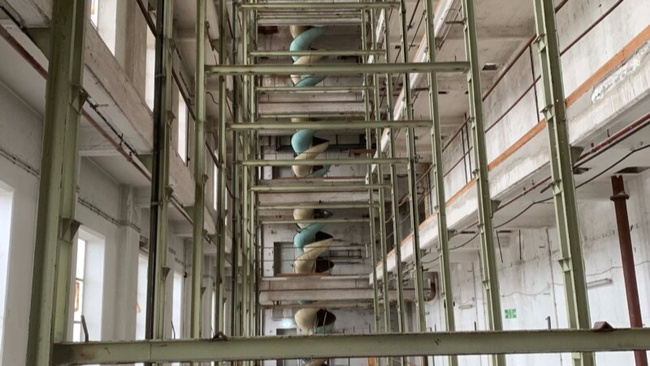 Die Dualen / Grand Jury