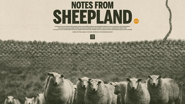 Strick im Kino: Notes from Sheepland