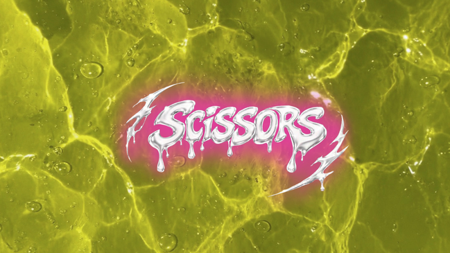 SCiSSORS 2.0 FLINTA* Party