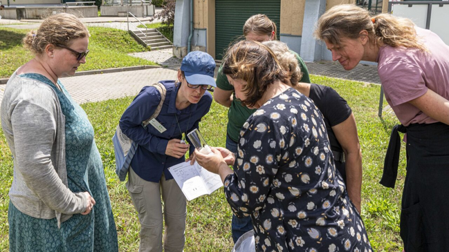 Artenkenntniskurs Wildbienen I – Grundlagen