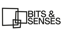 Bits & Senses