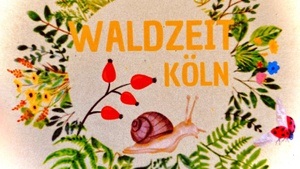 Waldzeit Köln Naturachtsamkeit für Erwachsene