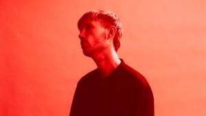 David Bay