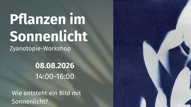 Pflanzen im Sonnenlicht, Zyanotopie-Workshop