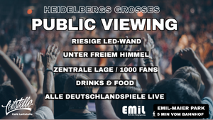 PUBLIC VIEWING FUSSBALL WM 2026
