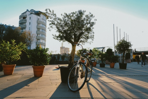 What's happening in June 2026? - Events in Düsseldorf