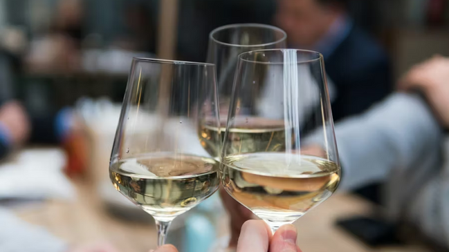 Stuttgarts beste Weine meets Weinbaumuseum 2026