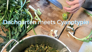 DACHGARTEN MEETS FOTOWERKSTATT