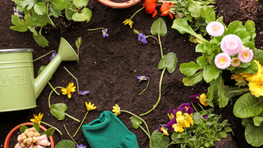 Führung durch die urbane Gartenwelt: Zu Fuß und mit dem ÖPNV durch Stuttgart